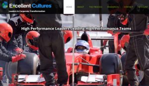 Excellent Cultures - Performance Leaders Leading High Performance Teams