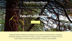 Magical Moment Photos