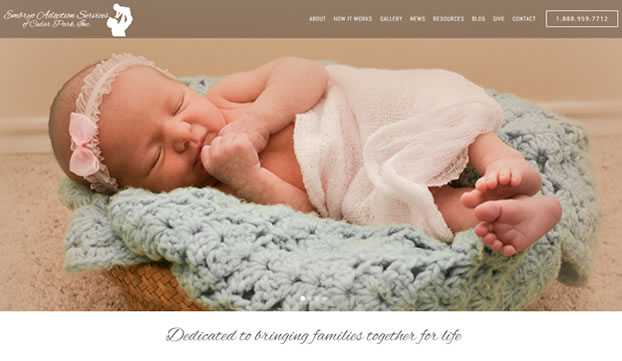 Embryo Adoption Services of Cedar Park